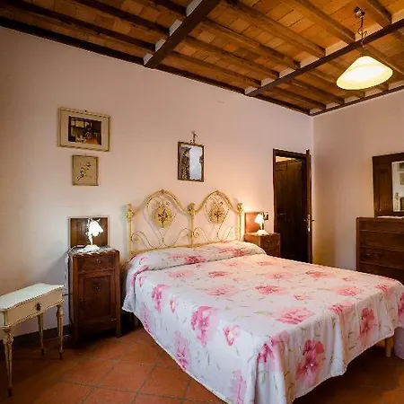 Fattoria Sant'andrea - Farm
