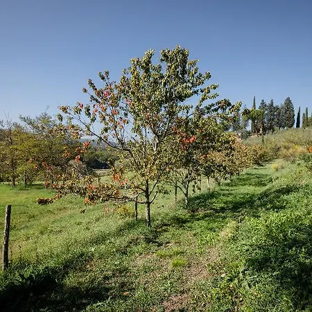 בית חווה Fattoria Sant'andrea - Farm *