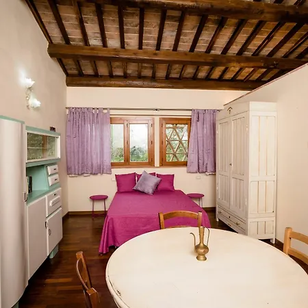 Fattoria Sant'andrea - Farm *