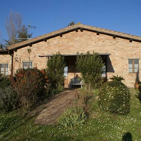 Fattoria Sant'andrea - Farm *