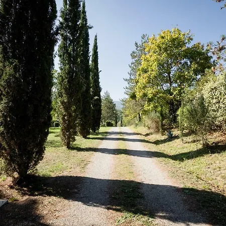 Fattoria Sant'andrea - Farm * סן ג'ימיניאנו