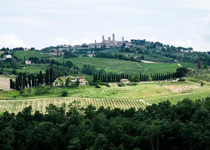 Fattoria Sant'andrea - Farm