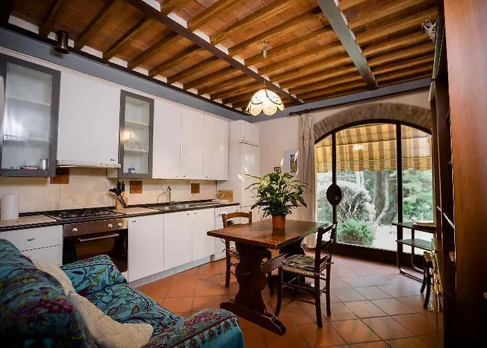 Fattoria Sant'andrea - Farm *