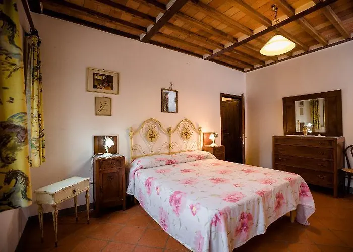 Fattoria Sant'andrea - Farm