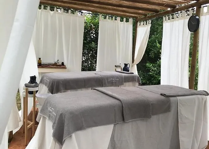 Fattoria Sant'andrea - Farm