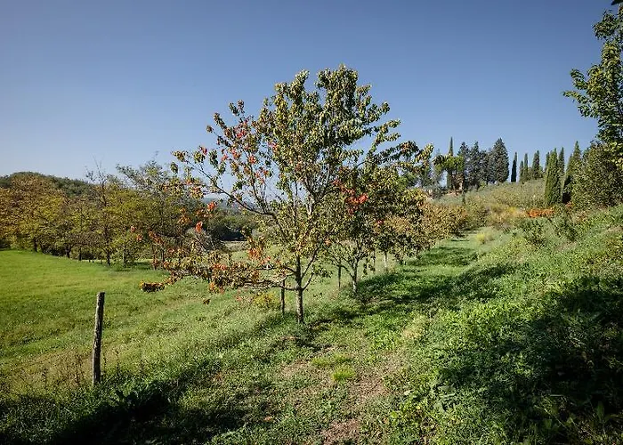 Κατάλυμα σε φάρμα Fattoria Sant'andrea - Farm *