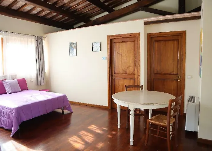 Fattoria Sant'andrea - Farm