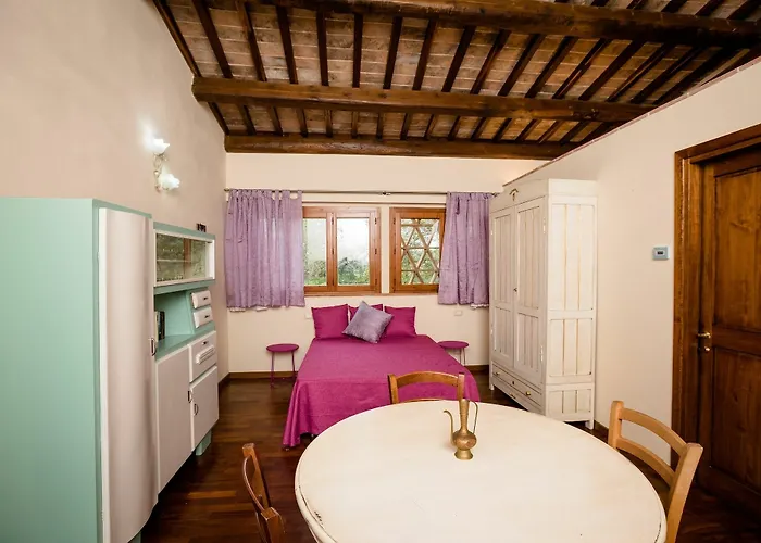 Fattoria Sant'andrea - Farm *