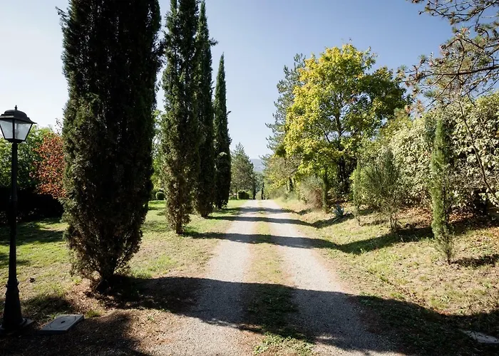 Fattoria Sant'andrea - Farm * Σαν Τζιμινιάνο