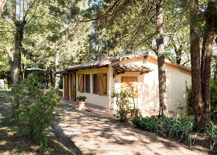 Fattoria Sant'andrea - Farm Σαν Τζιμινιάνο